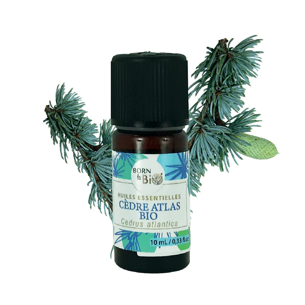Huile essentielle Cèdre Atlas Certifiée Bio