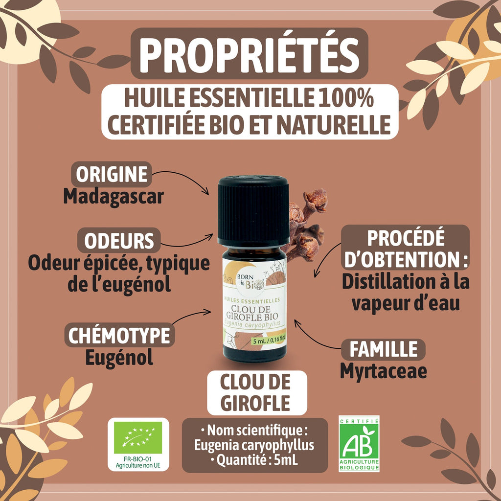 Huile essentielle Clou de Girofle Certifiée Bio-1