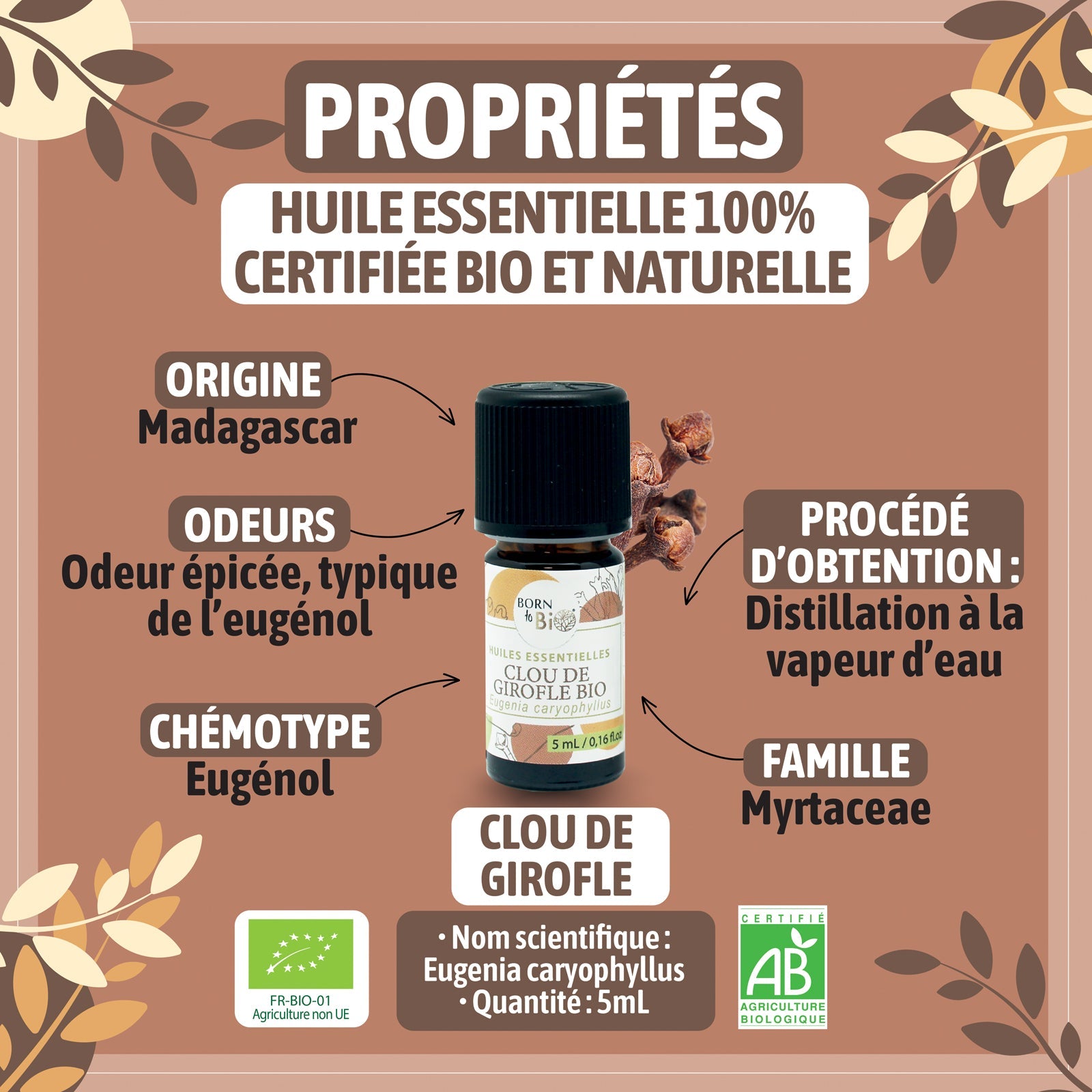 Huile essentielle Clou de Girofle Certifiée Bio-1