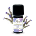 Huile essentielle Lavande Aspic Certifiée Bio-0