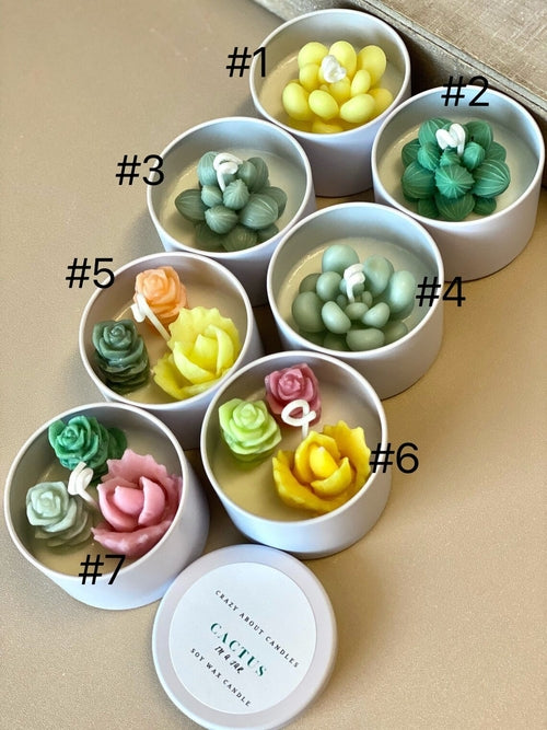 Bougie en pot “Cactus” – cire de soja parfum désert, fabriquée à la main aux États-Unis