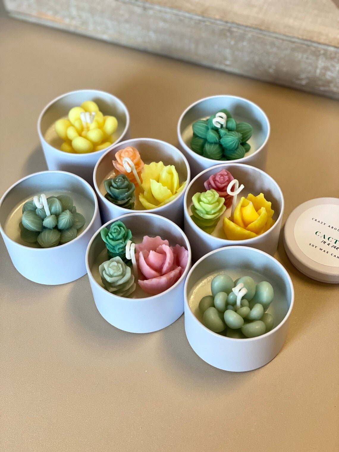 Bougie en pot “Cactus” – cire de soja parfum désert, fabriquée à la main aux États-Unis